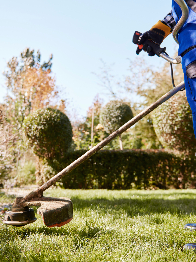 Serviço de jardinagem e paisagismo em Parauapebas e cidades próximas